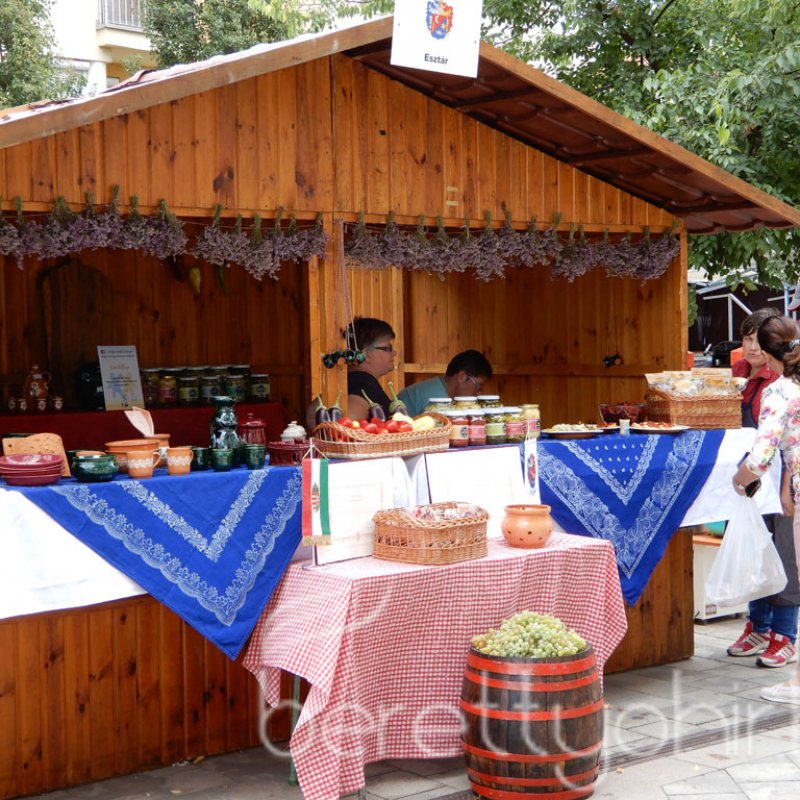 Helyi Értékek Startja 96